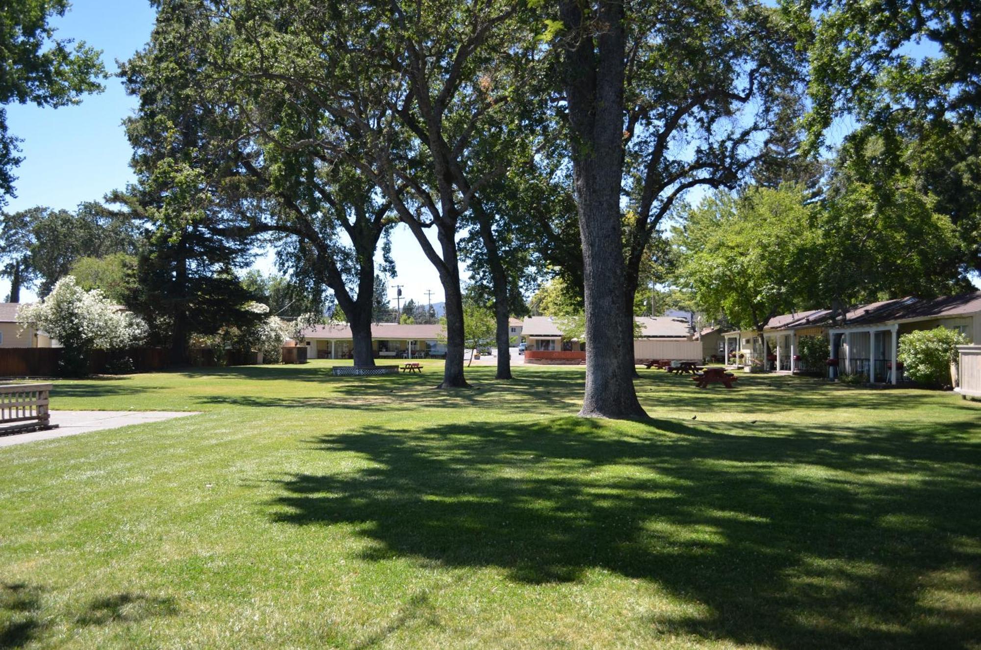 Skylark Shores Resort Lakeport Exterior foto